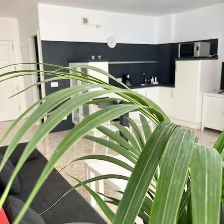 Heyhome Lynn 306 Los Cristianos  Buitenkant foto