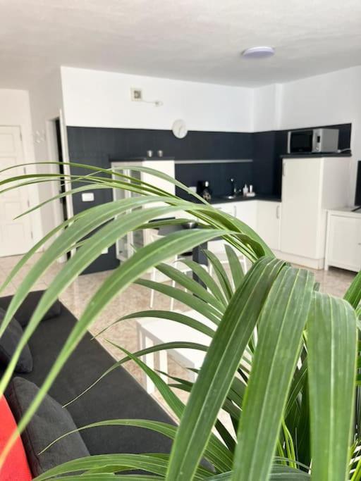 Heyhome Lynn 306 Los Cristianos  Buitenkant foto
